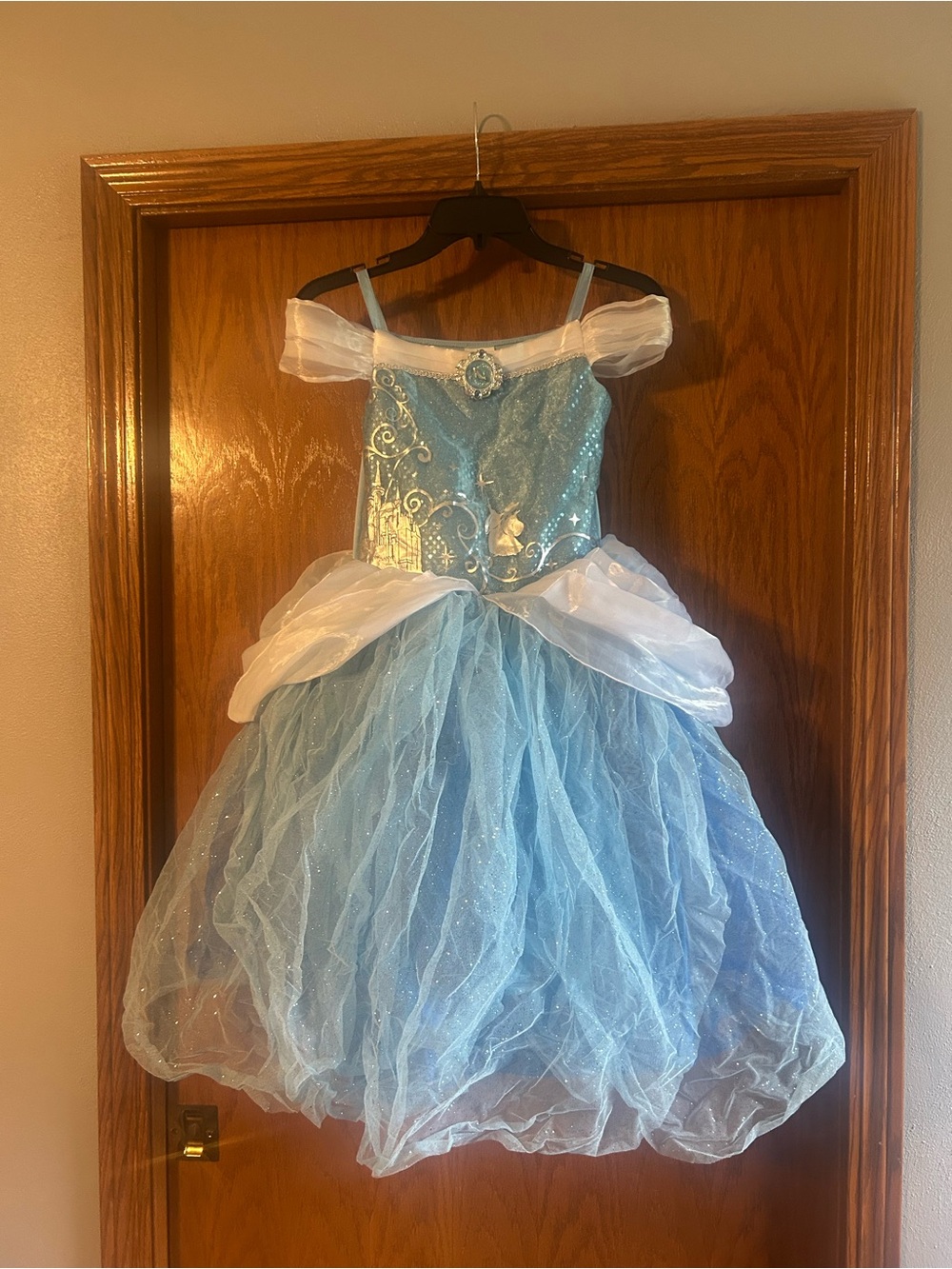 Disney Light Blue and White Princess Ball Gown Costume